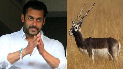 Salman Khan को बड़ी राहत, काले हिरण केस में राज्य सरकार की अर्जी खारिज | FilmiBeat