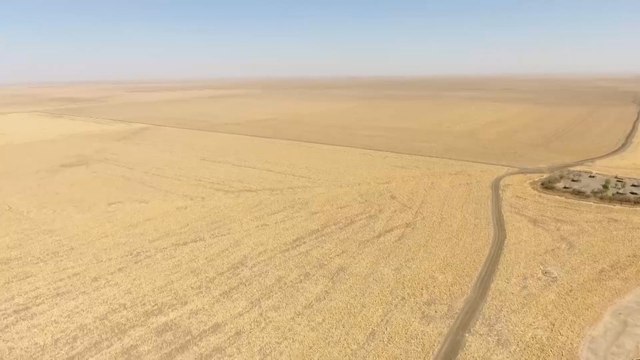 بسبب توقف عبور العمالة الإثيوبية.. مزارعو القضارف يستعينون بعمال من دولة جنوب السودان