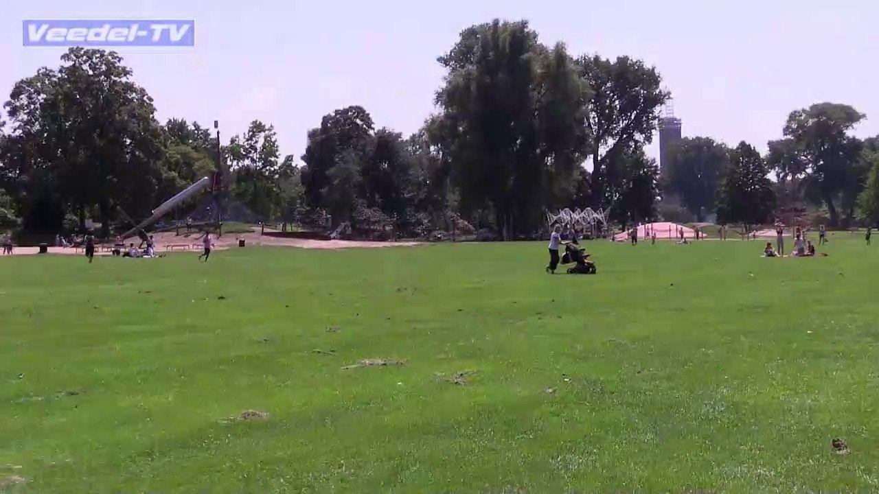 Kleinbahn im Rheinpark 2014