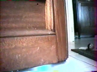 Bande-annonce "Nahuatl VS Sushi"