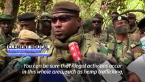 Senegalese army seizes cannabis fields and rebel forest bases