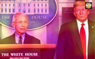 How much of a role did Fauci play in the eviction of Donald Trump