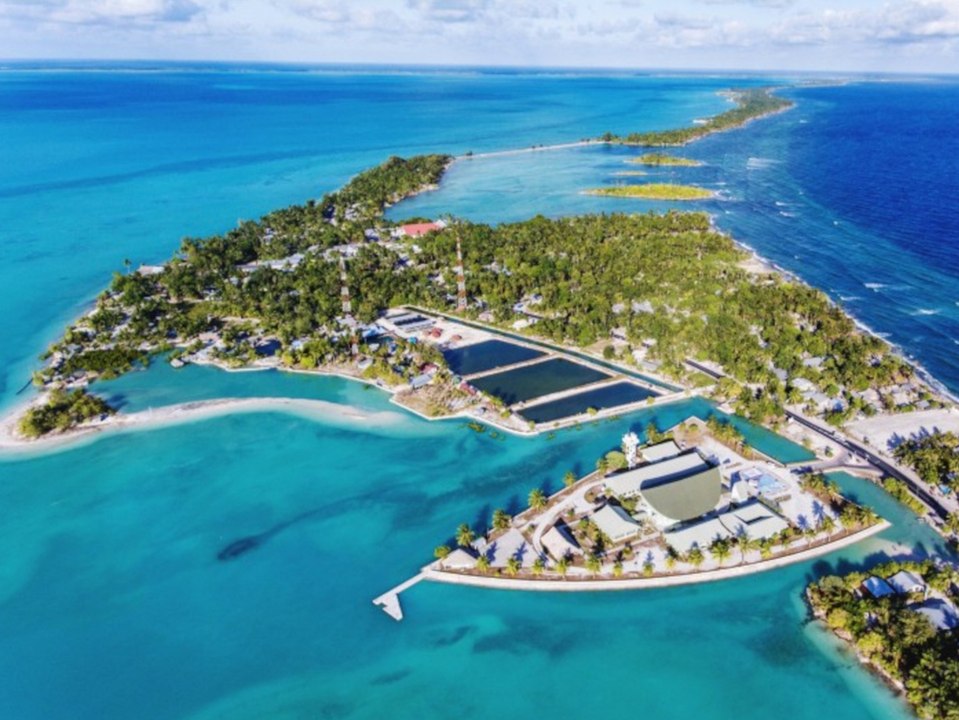 In diesen Ländern gibt es bisher keine Corona-Infizierten