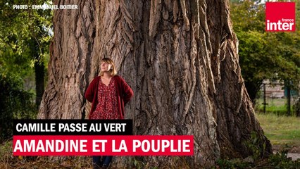 Auprès de son arbre, La Pouplie, elle vivait heureuse... - Camille passe au vert