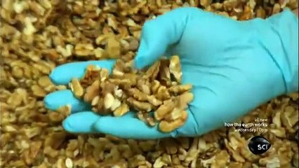 How Its Made - 1005 Walnut Oil