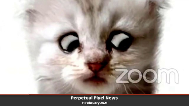 World News Headlines Today - 11 Feb 2021 Myanmar Coup | India-China Tension | SA's Criminal Police