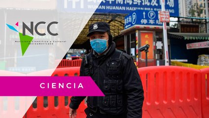 Wuhan, epicentro de la pandemia, cumple un año del primer brote de la COVID-19