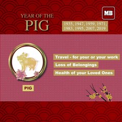Chinese New Year 2021: Year of the Pig