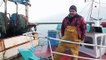 Bretagne : la langoustine du Guilvinec s’arrache sur les étals