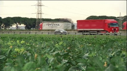 Terra dei fuochi, rapporto della Procura: "Tumori legati ai rifiuti, qui ci s'ammala di più"