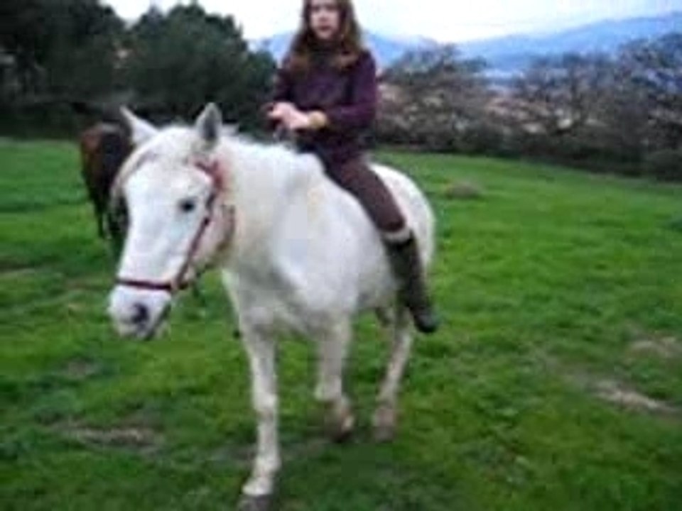 La pro monte sur un cheval