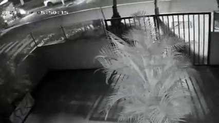 Tras atropellar a un abuelo de 81 años, motociclista huyó del lugar