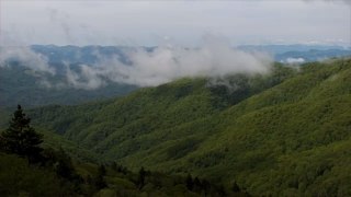 Gatlinburg, Tennessee, Is the Number One Trending Destination in the U.S. for 2021, According to Tripadvisor