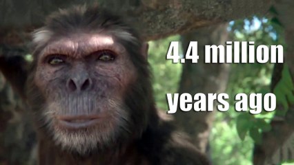 4.4 million years ago, humankind was a beloved wife and Ikumen!