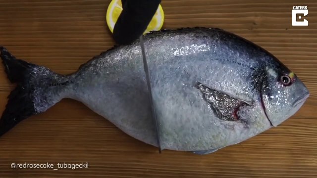 Ce pâtissier réalise des gâteaux trompe-l'oeil ultra réalistes