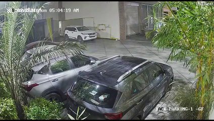 Quand un lion débarque dans un hôtel... visite terrifiante