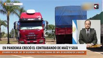 En pandemia creció el contrabando de maíz y soja