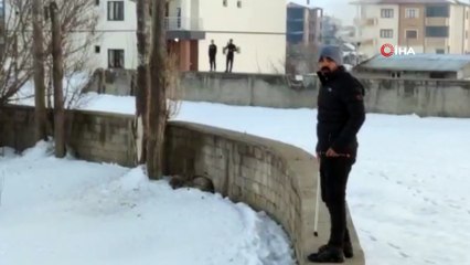 -	Merkeze inen kurt 3 gündür vatandaşları tedirgin ediyor