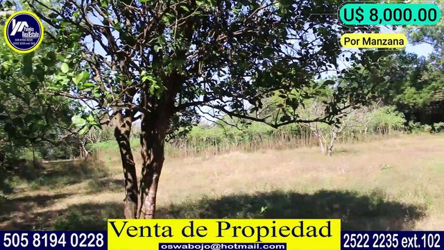 Nicaragua - Finca Agricola Venta en Masaya (Cod. VFP-48)