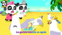 Pequeños Doctores en la Playa | Canciones Infantiles | BabyBus Español