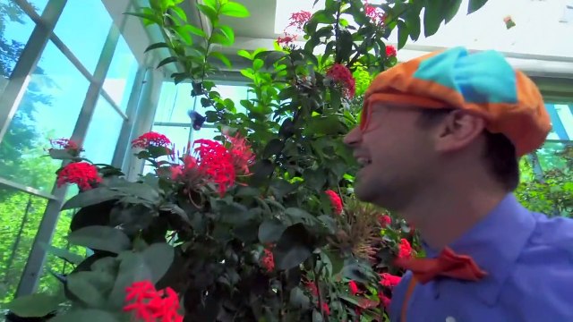 Blippi Español Explora el Centro de Ciencias del Pacífico | Videos Educativos para Niños Pequeños