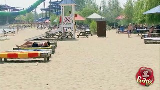 Skunk on the beach prank - Just For Laughs Gags