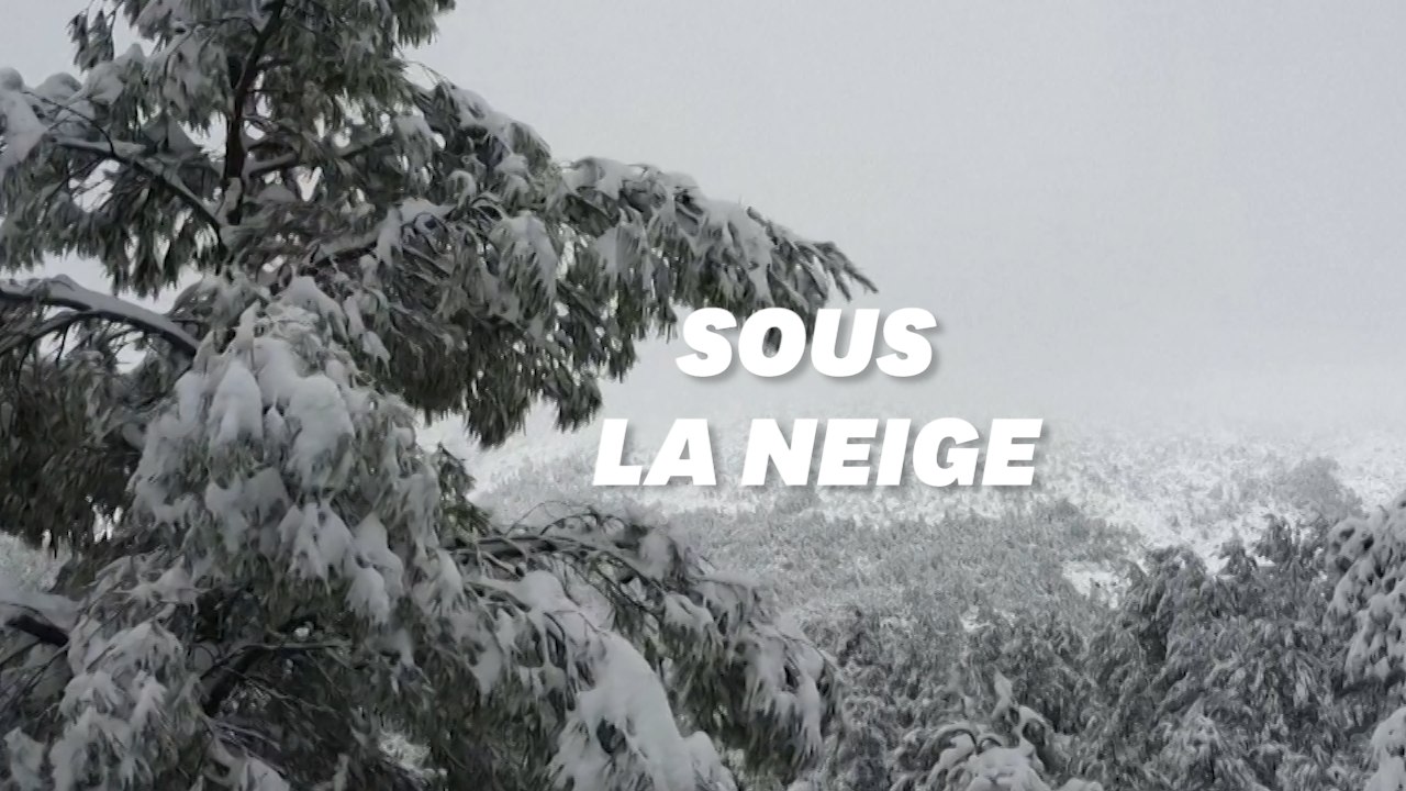 Même la Grèce n'a pas été épargnée par la vague...
