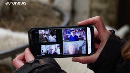 شاهد: "مشاركة الماعز" لتلطيف أجواء اجتماعات العمل الافتراضية في بريطانيا