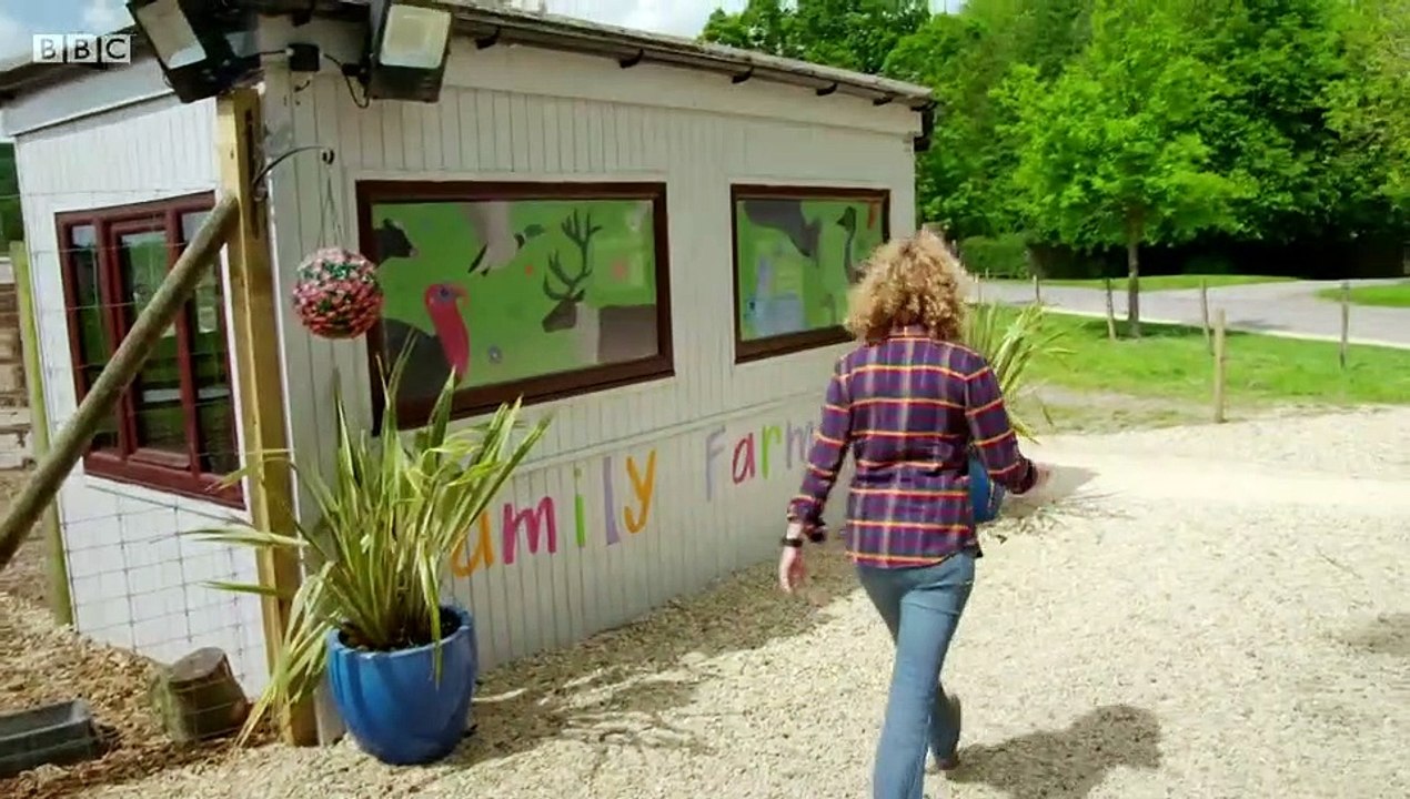 Animal Park Compilation Specials S01E14 (4 June 2020)