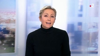 Covid-19 en Allemagne : l'objectif "zéro Covid" déjà remis en cause ?