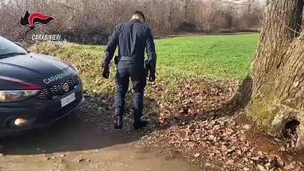 Due pistole ritrovate abbandonate nelle campagne torinesi (11.02.21)
