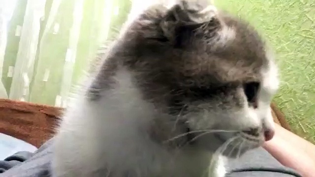 Mrrrr -)