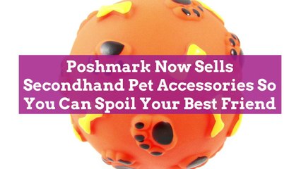 Poshmark Now Sells Secondhand Pet Accessories So You Can Spoil Your Best Friend