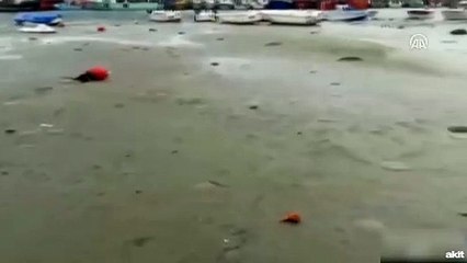 Sahil şeridi çekildi insanlar paniğe kapıldı