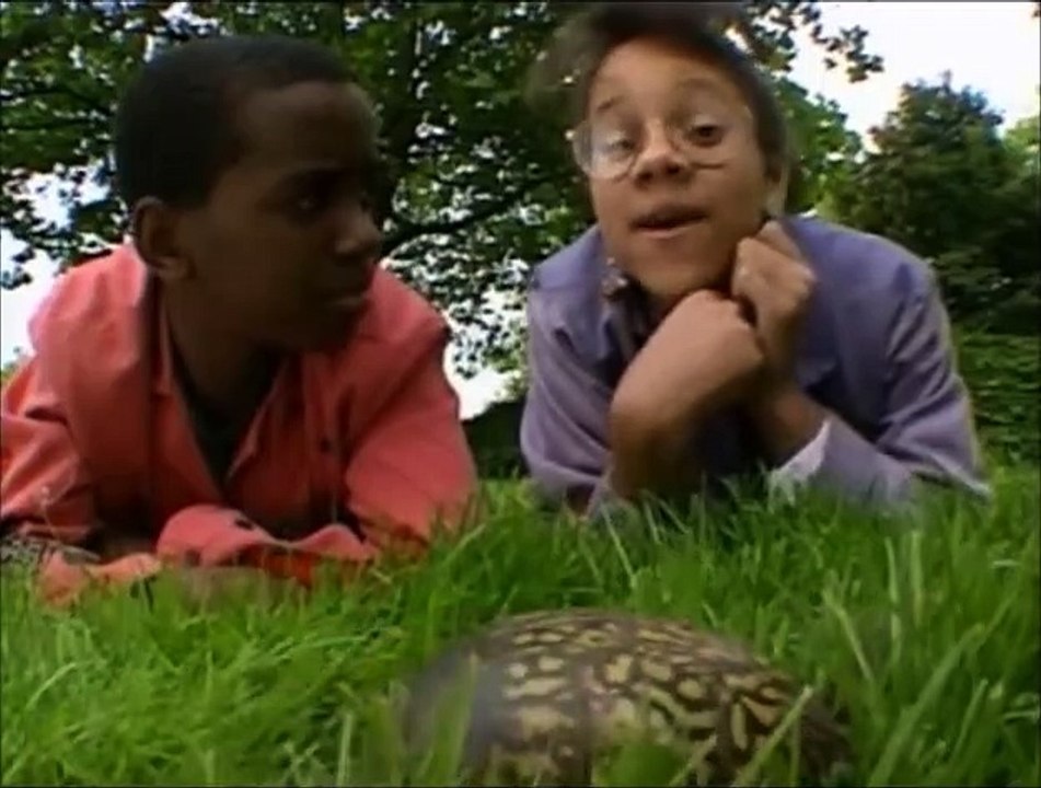 Bill Nye the Science Guy - S02E18 Reptiles