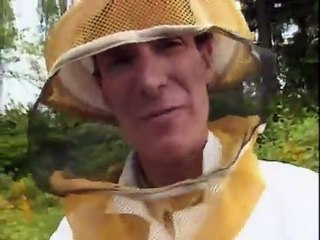 Bill Nye the Science Guy - S02E11 Insects