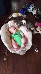 Bengal Kitten Snuggles up to Baby