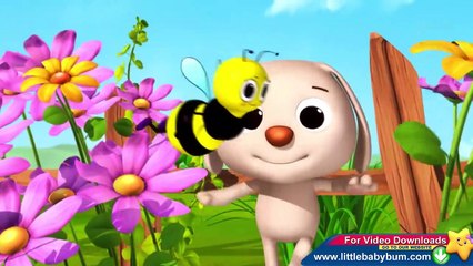 Learn with Little Baby Bum | BINGO Part 2 | Nursery Rhymes for Babies | Songs for Kids