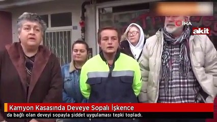 Deveye şiddet büyük tepki topladı