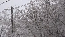 Kentucky coated in ice after storm