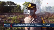 Lahan Gambut di Pontianak Terbakar, Petugas Padamkan Api agar tak Meluas