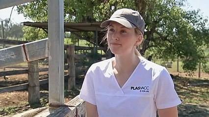 Courtney Wilson takes a look at production of anti-venom