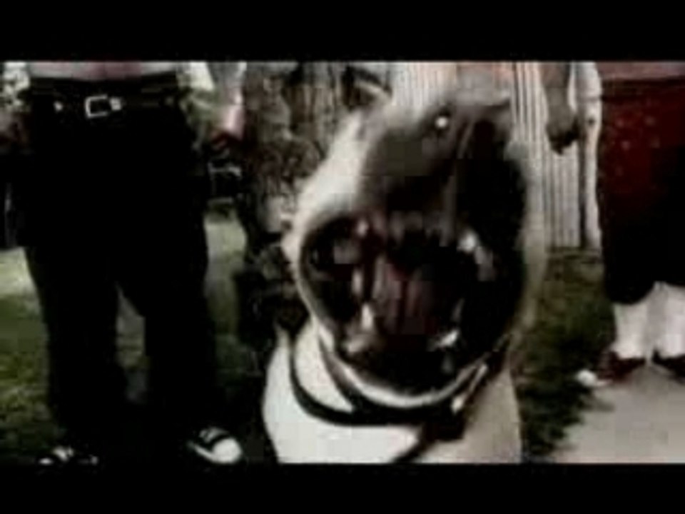 Transplants feat. Boo-Yaa TRIBE - What I Can't Describe