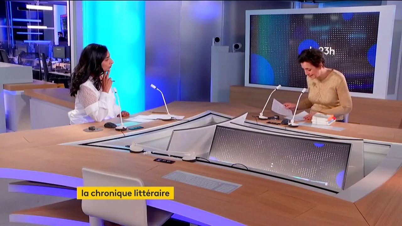 "Babylift" de Marie Bardet, un récit-enquête entre le Vietnam et la France