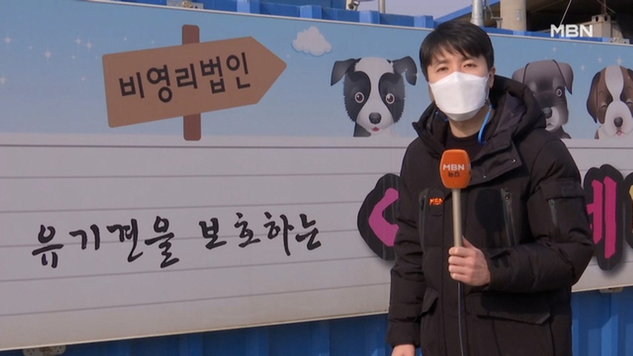 강아지 200마리 다시 버려지나?…유기견 시설 폐쇄 논란
