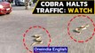 Cobra spotted on road in Udipi in Karnataka, what happened next | Oneindia News