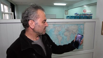 Adana’da Görülen Balina ve Ay Balığına Uzman Görüşü "Anormallik Yok"