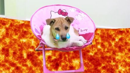 The Floor is Lava Challenge _ Uncle Saves Annie and Puppy Dog Pretend Play for K