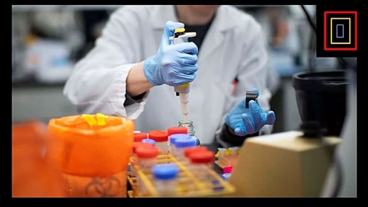 When, and How, Does the Coronavirus Pandemic End_