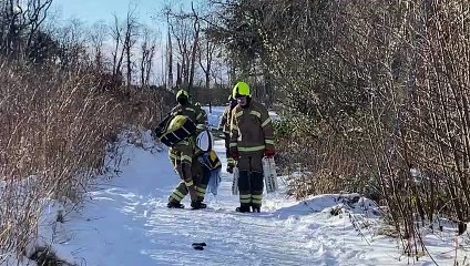 Emergency crews rush to Bo'ness after man and dog fall through ice